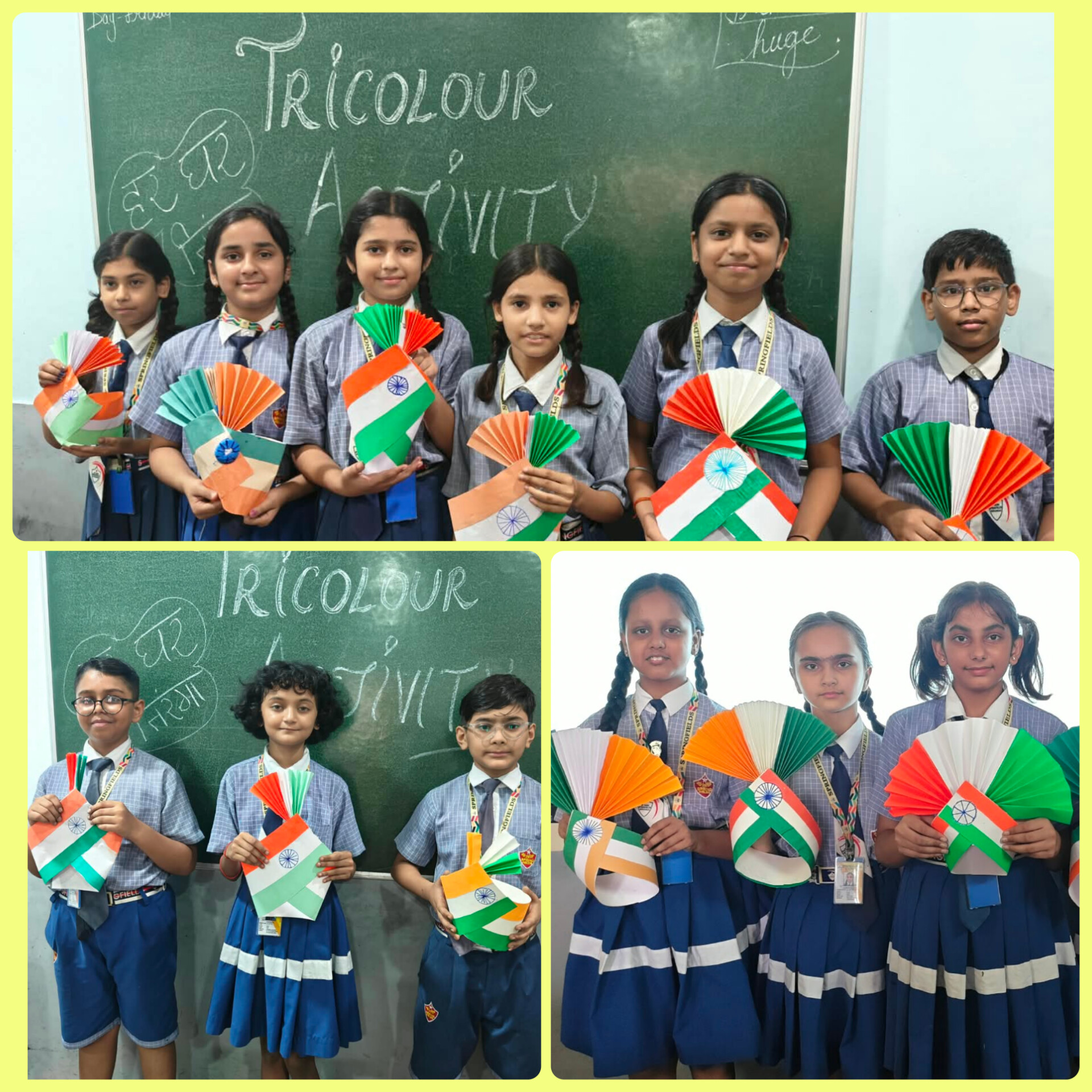 TRICOLOUR ACTIVITY 2