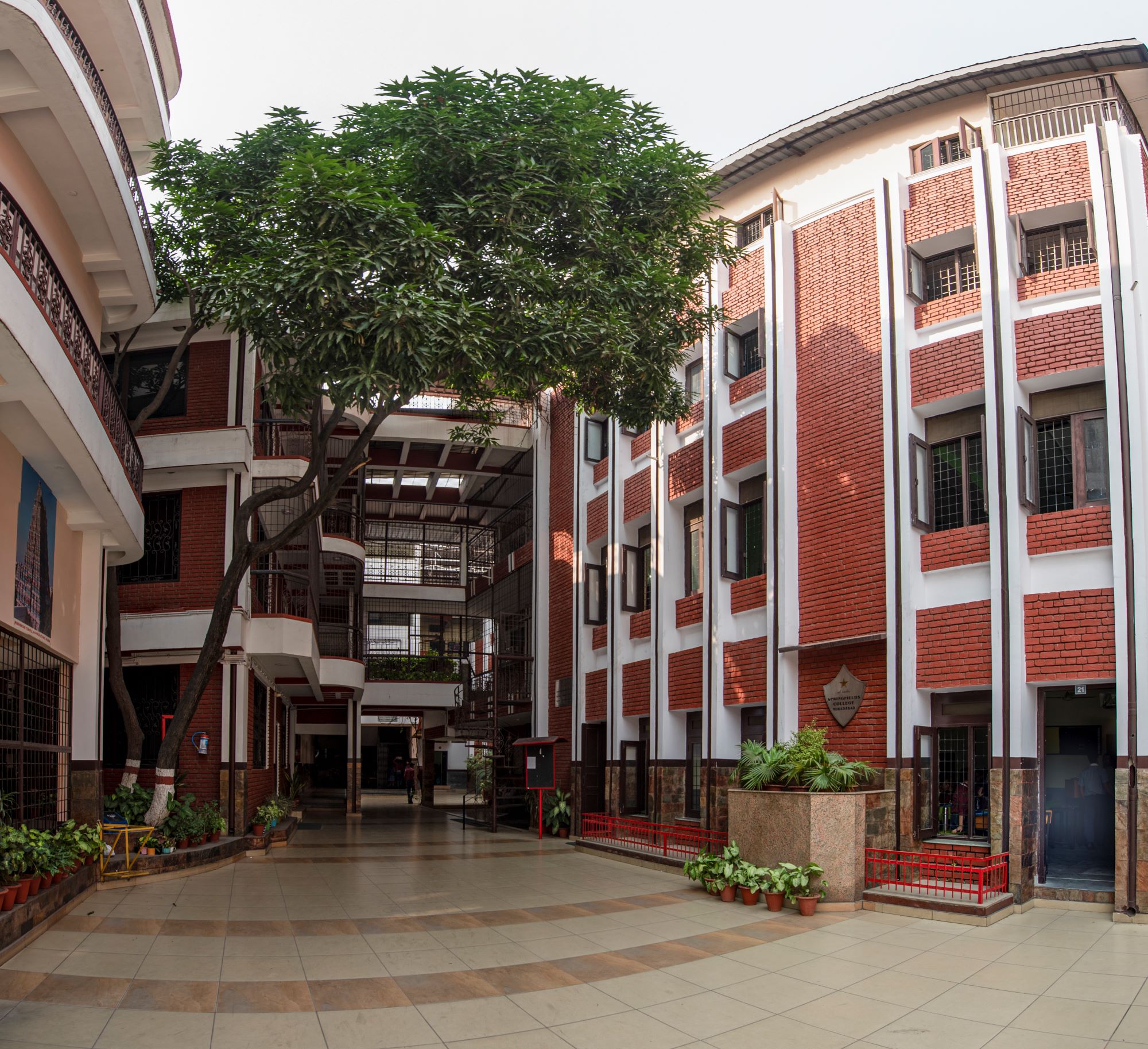 About Springfields College